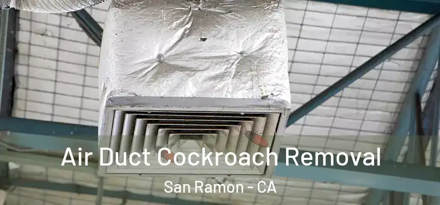 Air Duct Cockroach Removal San Ramon - CA