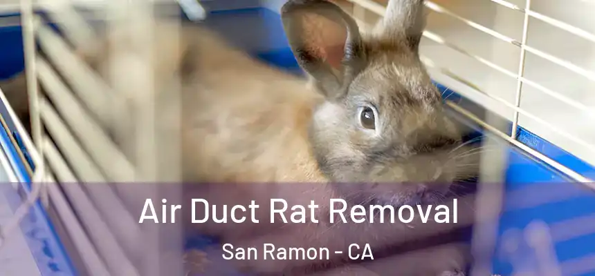 Air Duct Rat Removal San Ramon - CA