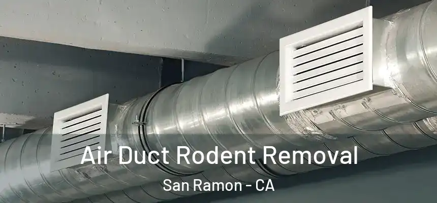 Air Duct Rodent Removal San Ramon - CA