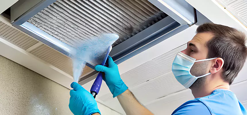 Proactive Dryer Vent & Auxiliary Duct Pollen Cleanup in San Ramon, CA