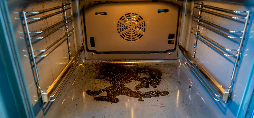 Our Dryer Vent Mold Cleaning Services in San Ramon, CA