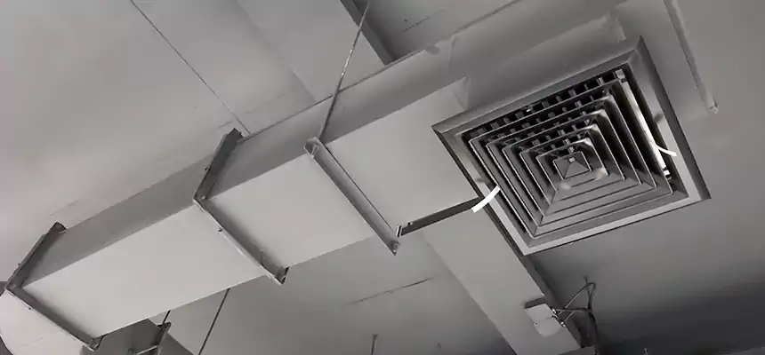 Our Pest Removal From Ducts Services in San Ramon, CA