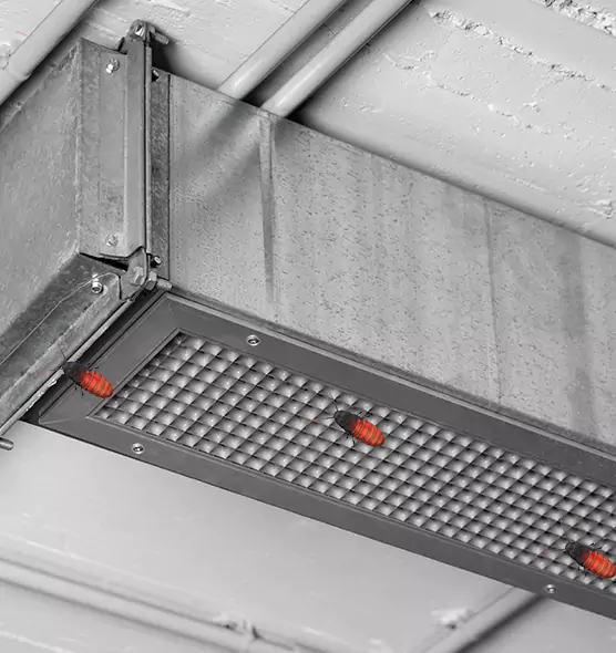 About Air Duct Cockroach Removal in San Ramon, CA