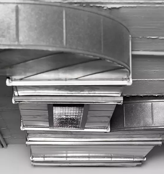 Professional Air Duct Pest Removal in San Ramon, CA