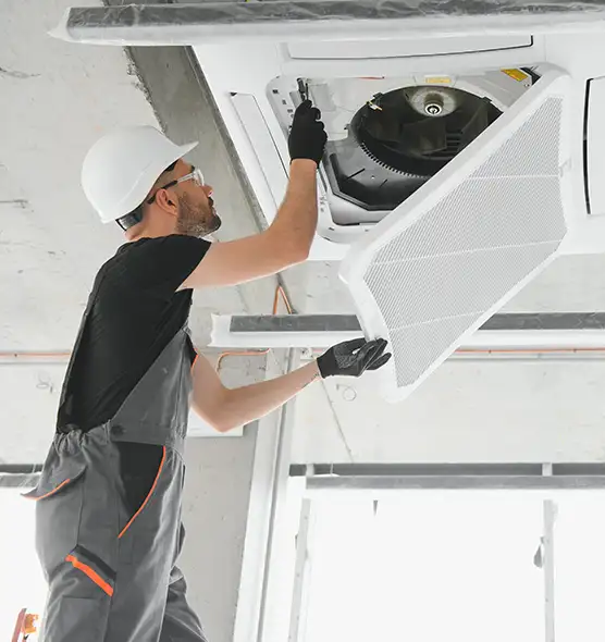 About Air Duct Rodent Removal in San Ramon, CA