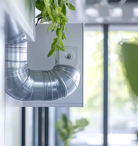 Professional Eco-Friendly Duct Cleaning Services in San Ramon, CA