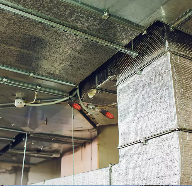 Why Homeowners & Businesses Trust Us in San Ramon, CA?