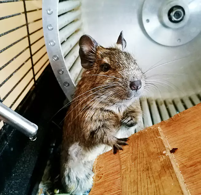 Why Homeowners & Businesses Trust Us San Ramon, CA