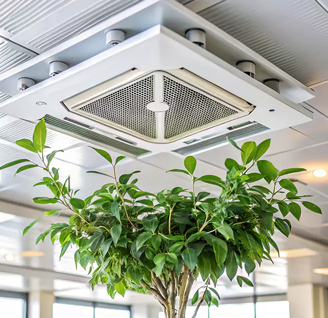 Why Homeowners & Businesses Trust Us in San Ramon, CA?