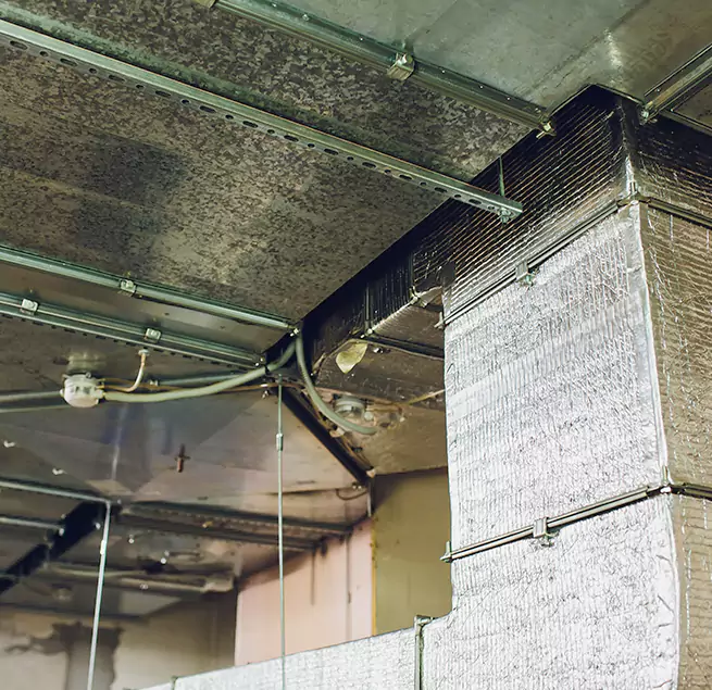 Why Homeowners & Businesses Trust Us in San Ramon, CA?